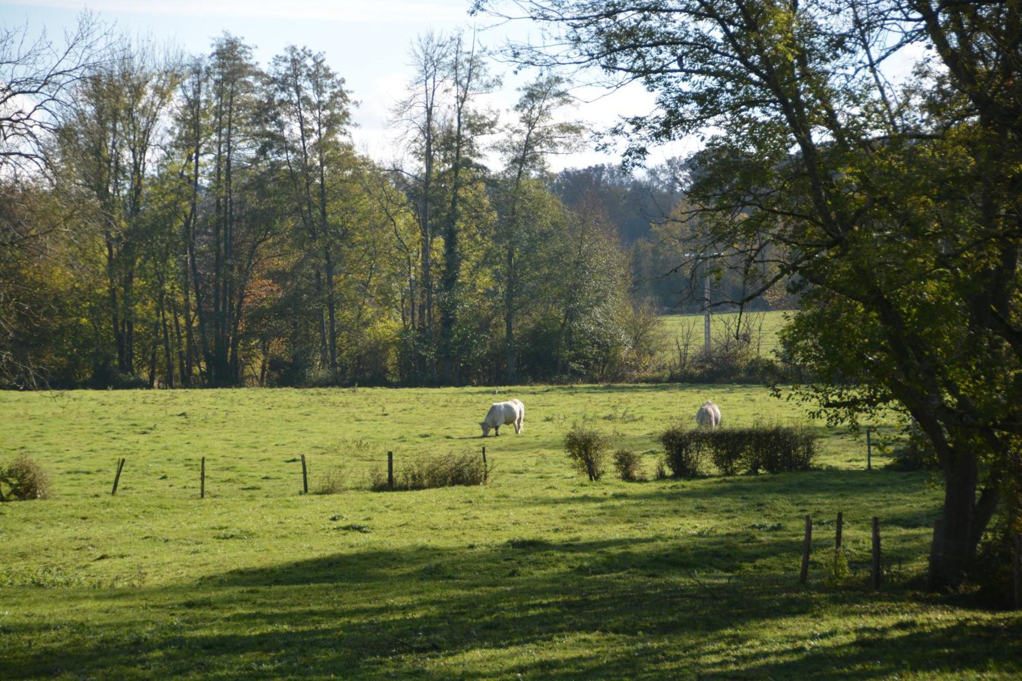 Bed and Breakfast Le Moulin Grenon Mézilles Exterior foto