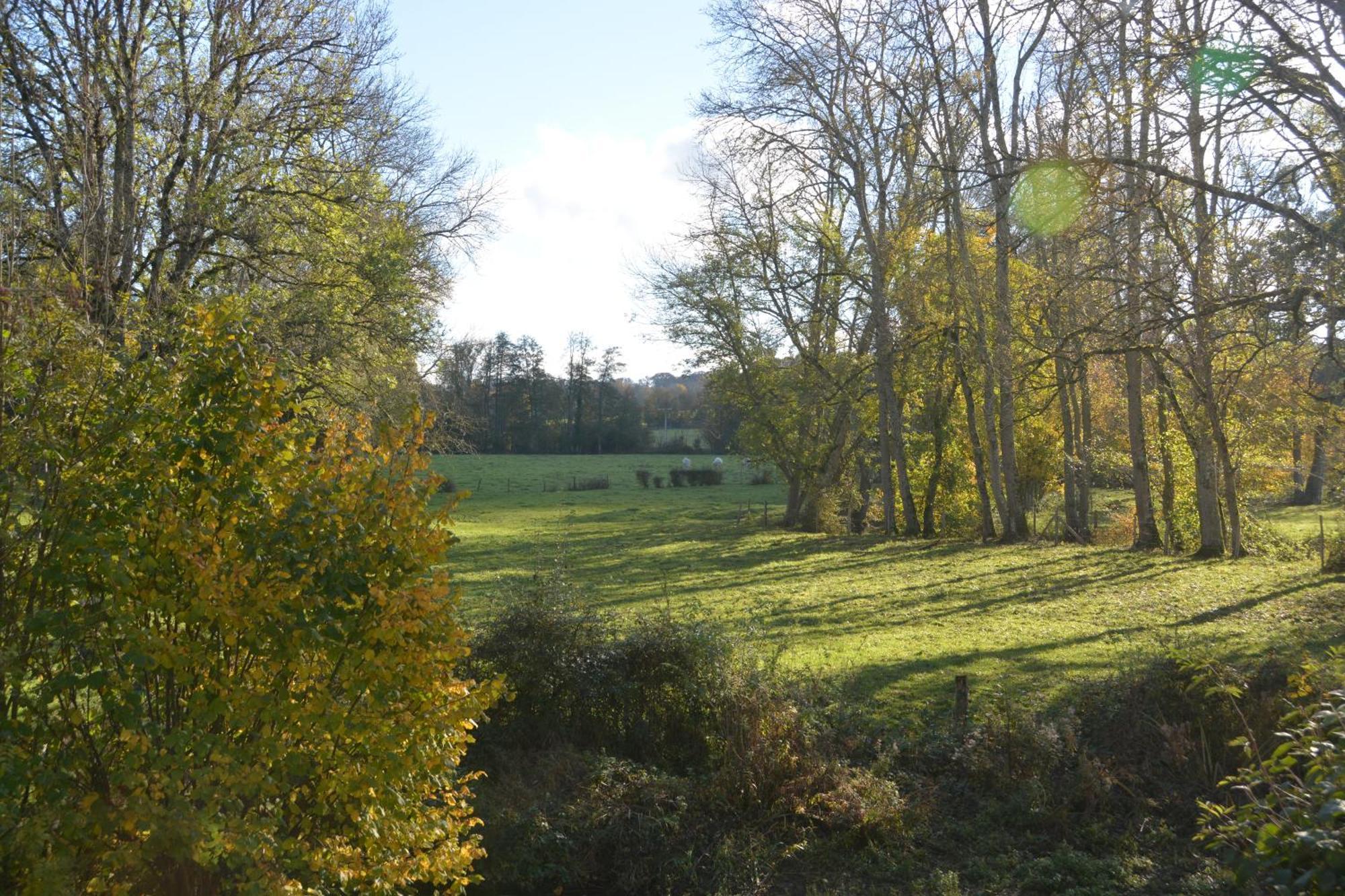 Bed and Breakfast Le Moulin Grenon Mézilles Exterior foto